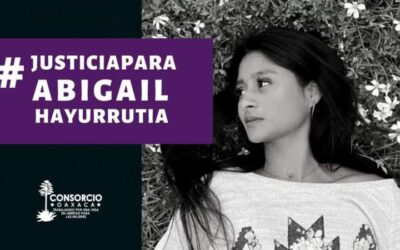 Consorcio pide garantizar el debido proceso en caso Abigail y sanción a policías municipales