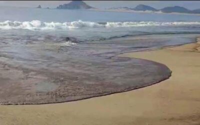 Al menos 7 derrames de hidrocarburos se han presentado en la Costa del Istmo: Propaeo