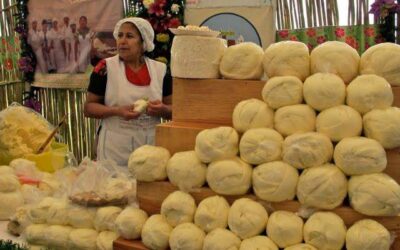 Marcas que venden quesillo falso no son oaxaqueñas, Profeco invita al consumo del producto local