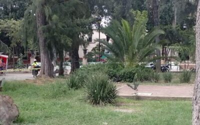 Muere indigente en el Parque Juárez El Llano