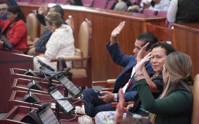 Para obtener licencia de conducir será obligatorio ser capacitado en perspectiva de género