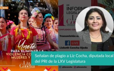 Señalan de plagio a Liz Cocha, diputada local del PRI de la LXV Legislatura
