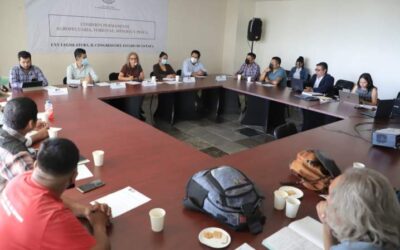Discuten proyecto para construir iniciativa de ley que proteja al maguey en Oaxaca