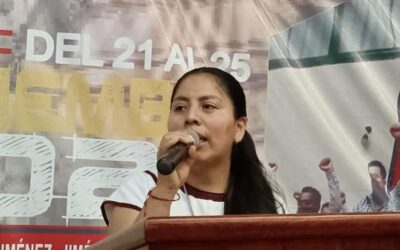 Elige Sección 22 de la CNTE a primera mujer dirigente