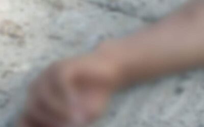 En Oaxaca, perro es captado con un brazo humano; ocurrió en San Martín Mexicapam