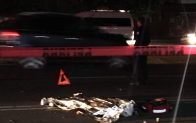 Motociclista muere instantáneamente tras impactarse contra un caballo