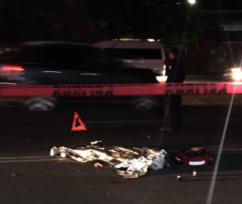 Motociclista muere instantáneamente tras impactarse contra un caballo