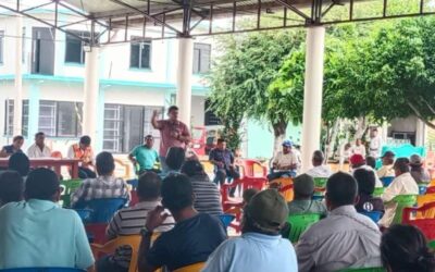 Realizará CFE diagnóstico para detectar causa de fallas en Granja Solar de Santa María del Mar