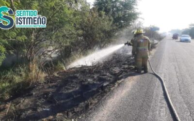 Bomberos de Juchitán sofocan incendio de pastizal
