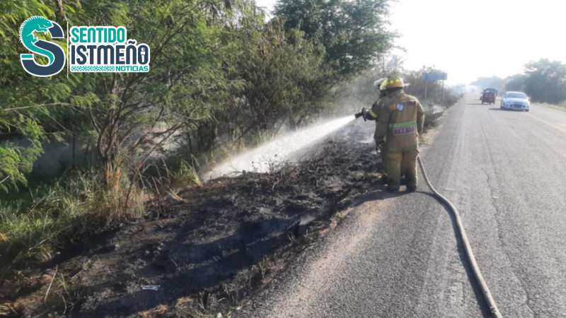 Bomberos de Juchitán sofocan incendio de pastizal