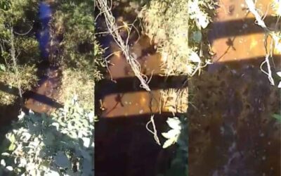 En los últimos dos meses, se han registrado 11 fugas de ductos de Pemex en el Istmo de Tehuantepec