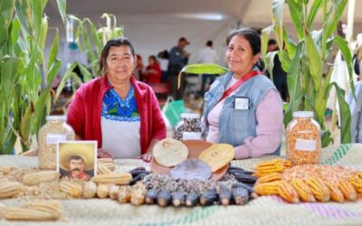 Gobierno de Oaxaca inicia combate de la pobreza alimentaria en 1.3 millones de personas