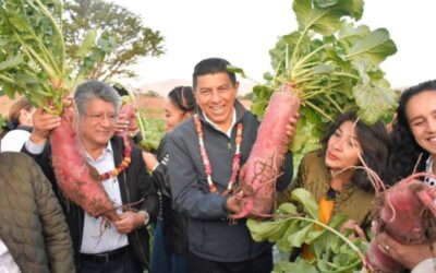 Pone en marcha Gobierno del Estado el programa «Oaxaca Forestal», sembrarán 200 mil hectáreas de plantas