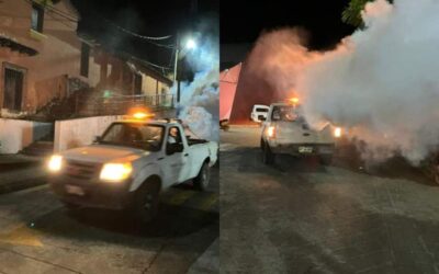 Refuerzan SSO plan de acciones para el control de vectores en San Pedro Tapanatepec