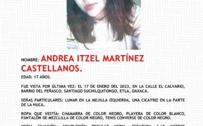 Madre suplica ayuda para localizar a su hija desaparecida en Suchilquitongo