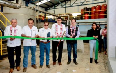 Suman esfuerzos Gobierno de Oaxaca y Conafor para conservar y proteger los recursos forestales