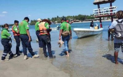 Continúan con la búsqueda de turista desaparecida en Chacahua