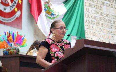 Busca diputada Clelia Toledo que Palacio de Hierro no utilice las imágenes tradicionales del Istmo