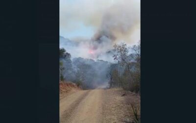 Piden apoyo en San Juan Sosola por incendio