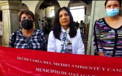 Piden retiro de terrazas en el Barrio de Xochimilco