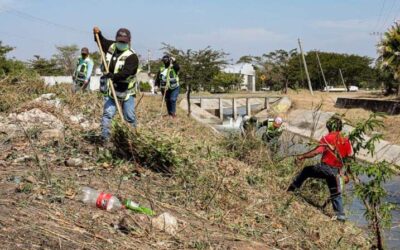 Realiza gobierno de Juchitán limpieza en costados del Canal 33