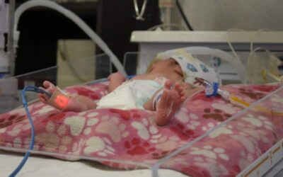 Consumo de ácido fólico, ayuda a prevenir defectos congénitos: SSO