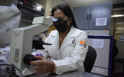 El 70% de los casos de enfermedades raras son de origen genético: SSO