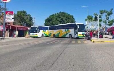 Marchan organizaciones en la Ciudad de Oaxaca