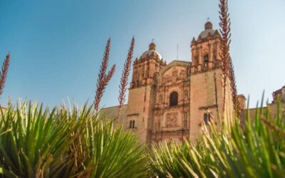 Oaxaca mostrará su riqueza en el Tianguis Turístico México 2023 en la CDMX