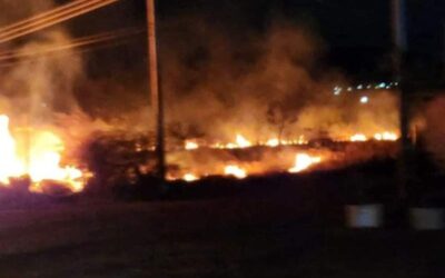 Sofoca Coesfo dos incendios registrados en inmediaciones de Monte Albán y uno más en la Mixteca