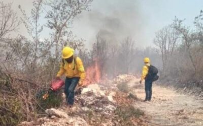 Sofocan tres incendios forestales y se combaten cinco activos: Coesfo