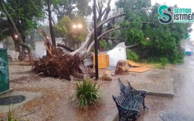 Afectaciones por lluvia en la capital de Oaxaca