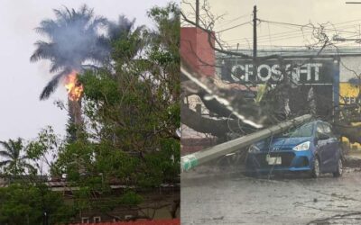 Llueve fuerte en la ciudad de Oaxaca y provoca caída de árboles