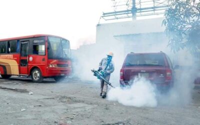 Mantienen acciones para prevenir enfermedades por vectores en Juchitán