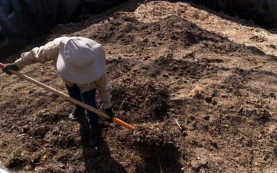 Oaxaca de Juárez: ejemplo en la separación de los Residuos Sólidos Urbanos