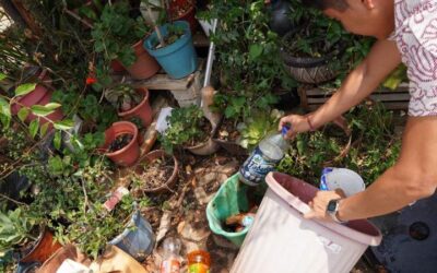 Pide SSO a extremar medidas para evitar enfermar de zika