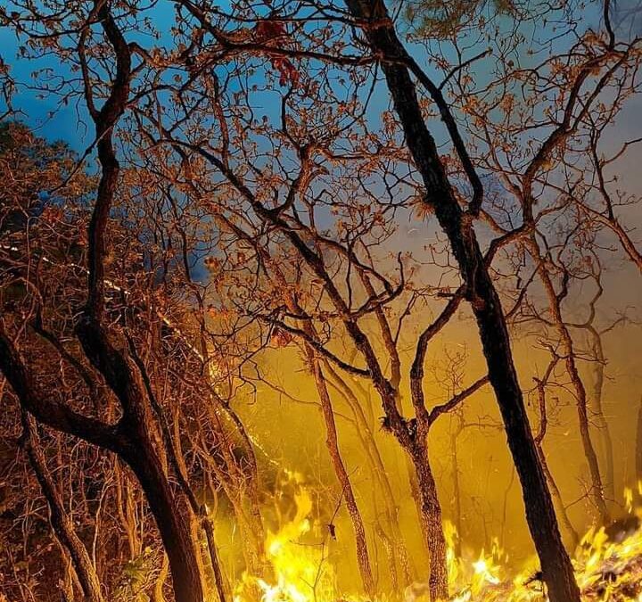Piden apoyo por incendio en Mazaltepec