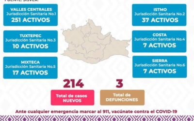 Reporta Oaxaca 214 casos nuevos de COVID-19: SSO
