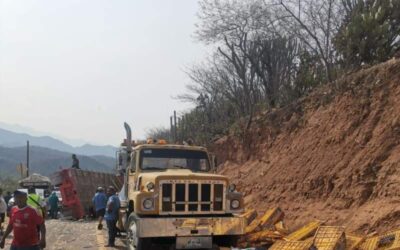 Reportan caso de rapiña en tráiler de pollo