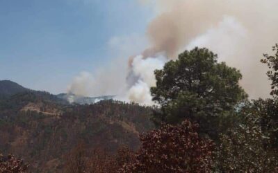 Siguen los reportes de incendio en el estado de Oaxaca