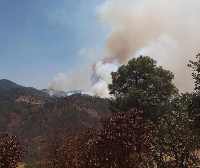Siguen los reportes de incendio en el estado de Oaxaca