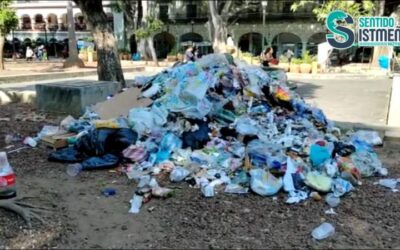 Tiran basura en el Zócalo de #Oaxaca