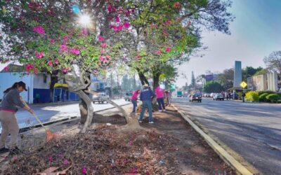Con Tequio Bienestar embellecen el camellón de la carretera Internacional 190