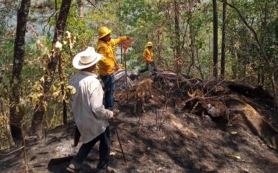 Atiende Coesfo incendio en Cabecera Nueva