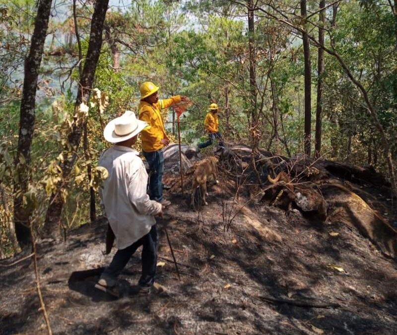 Atiende Coesfo incendio en Cabecera Nueva