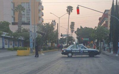 Cierran un carril de Héroes de Chapultepec a la altura del ADO por caída de palmera