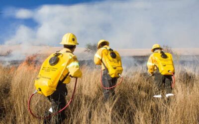 Combatientes de incendios forestales, héroes protectores de los bosques de Oaxaca
