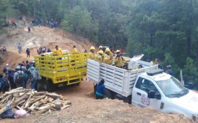 Controlado al 100% incendio en Etla: Coesfo