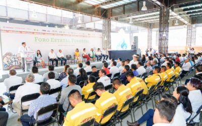 Realizan Foro Estatal Forestal en Oaxaca