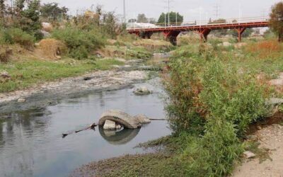 Supervisa Ceabien puntos de descargas en ríos Atoyac y Salado